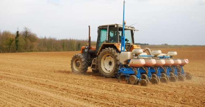 La réussite du maïs dépend en grande partie du semi. CP : M.Lecourtier/Média&Agriculture.