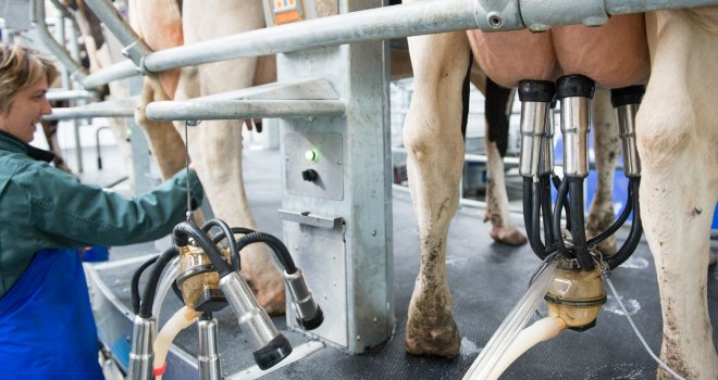 La collecte de lait de vache a continué de progresser en décembre (+ 1,1 % par rapport à décembre 2018) pour se situer, en cumul annuel, au niveau atteint fin 2018. CP : C.Helsly/Cniel.