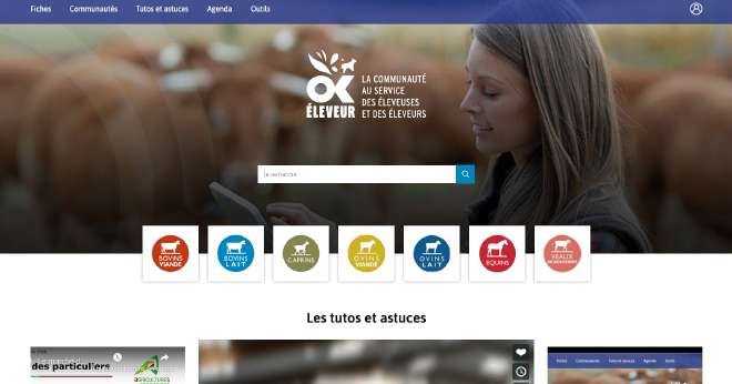 Ok Éleveur, la première plateforme interactive dédiée aux éleveuses et aux éleveurs.