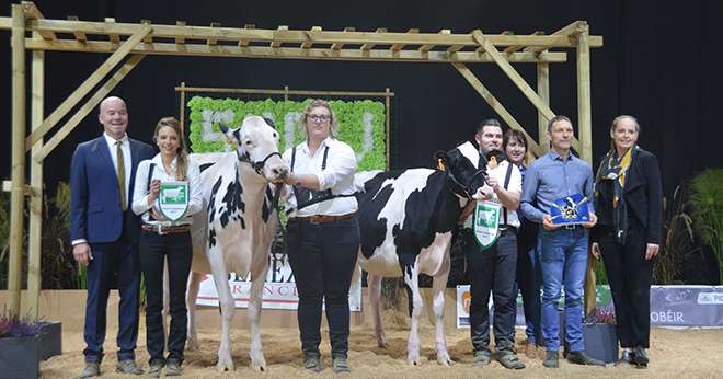 Hautmont Hill Radi (Rawhide), grande championne du concours prim’holstein au Show Open Génisses 2019, et sa réserve, JK Eder Solomon Daryl (Solomon), toutes deux appartenant à l’élevage Hautmont Hill Holstein (Belgique). Photos : H.Flamant/Terroir Est.