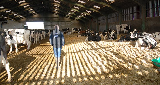 La défense de la juste rémunération au producteur est le premier combat de Coop de France Métiers du lait. CP : DR