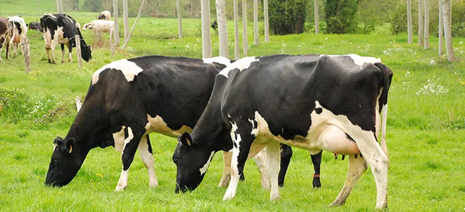 Projet Évaluation bovine européenne : Eliance veut