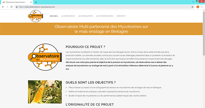Après le lancement de l’Observatoire sur les mycotoxines dans le maïs ensilage en Bretagne, les premiers résultats des analyses effectuées dans 200 élevages sont désormais accessibles.