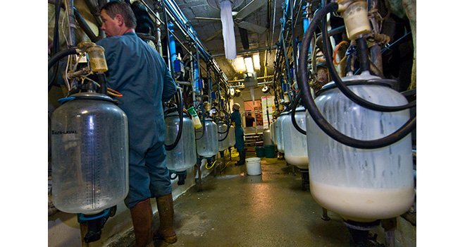 Les incidents climatiques et le repli structurel constaté essentiellement dans le sud de la France expliquent le recul de la collecte laitière, selon le ministère de l’Agriculture. ©C. Helsly/Cniel