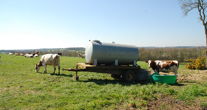 Avec des températures supérieures à 25 °C le besoin en eau des vaches est multiplié par deux. © N.Tiers/Pixel6TM