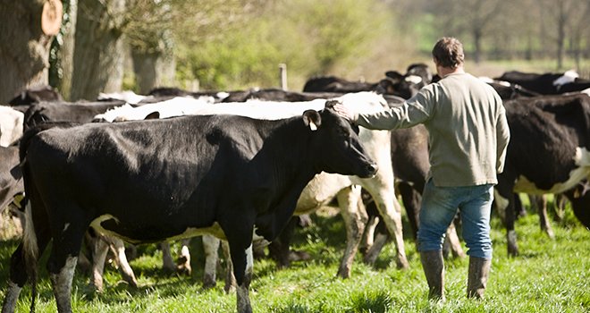 La rémunération de la plupart des éleveurs laitiers s’est dégradée en 2018, l’évolution du prix du lait n’ayant pas permis de compenser la hausse des coûts de production. ©P. Dureuil/CNIEL