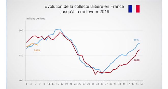 Depuis cet été, les sondages de collecte de France AgriMer présentent chaque semaine une baisse de 3 à 5 %. 