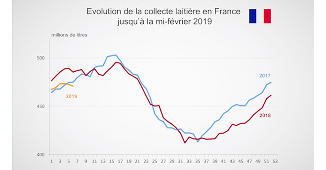 Depuis cet été, les sondages de collecte de France AgriMer présentent chaque semaine une baisse de 3 à 5 %. 