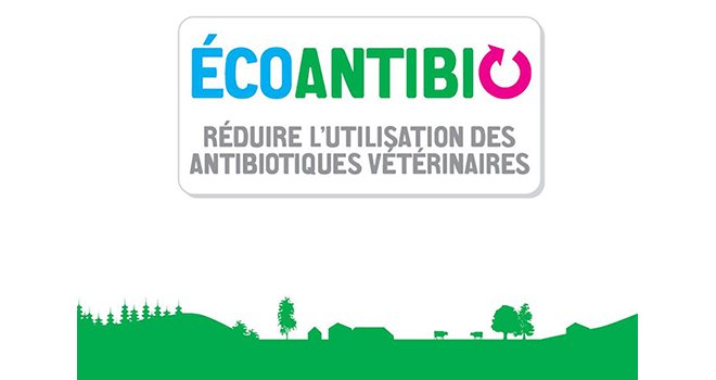 Le plan Écoantibio 2017-2021 vise à inscrire dans la durée la baisse de l’exposition des animaux aux antibiotiques. © DR