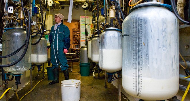 La production laitière a nettement ralenti dans la plupart des bassins laitiers. Photo : C. Helsly/CNIEL
