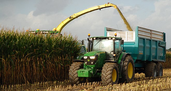 Une qualité de maïs ensilage correcte malgré un été sec. © N.Tiers / Pixel Image