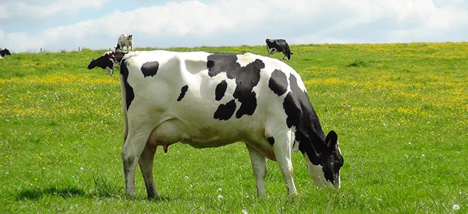 L’Europe du Nord en avance sur le lait bio