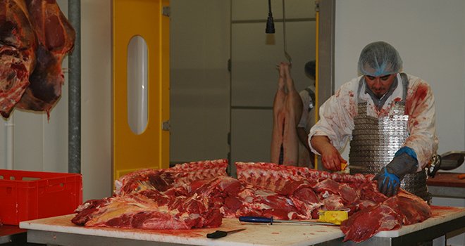Du 31 mai au 6 juin, les professionels de la filière viande ouvrent leurs portent pour faire découvrir les différents métiers au grand-public. 