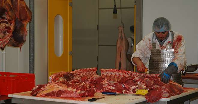 Du 31 mai au 6 juin, les professionels de la filière viande ouvrent leurs portent pour faire découvrir les différents métiers au grand-public. 
