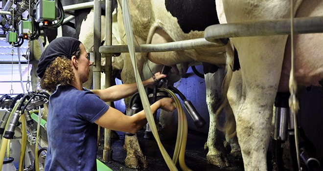 Pour être reconnue comme OP pour la catégorie "lait de vache", l’organisation de producteurs justifie soit d’un nombre minimum de 200 membres producteurs, soit d’un volume minimum de 60 millions de litres de lait commercialisés. Photo : F Million/CNIEL
