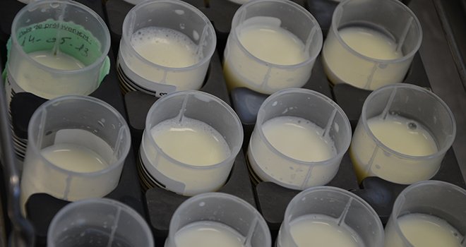 Les nouvelles analyses d’urée et de lactose sont réalisées à partir de l’échantillon de lait prélevé par l’agent de pesée. Photo : Eilyps