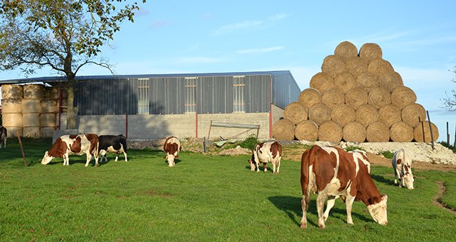 L'institut de l'élevage et Arvalis-Institut du végétal resserent leurs liens pour favoriser les synergies entre les cultures et l'élevage. Photo : S.Bot/Pixel image