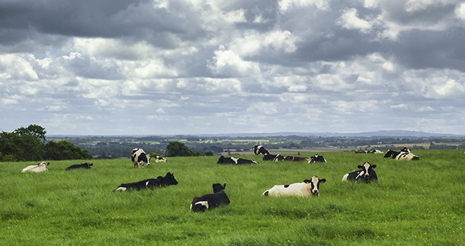 Sur les 383 nouvelles fermes bretonnes engagées en bio au cours de l’année 2017, 23 % le sont en production laitière. Photo : Claudio Colombo/Fotolia