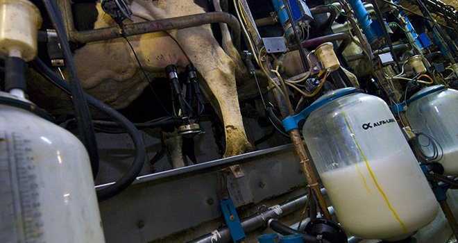 Selon le Cniel, la tendance haussière de la production de lait devrait se poursuivre dans l’Union européenne au cours des prochains mois. Photo : C. HELSLY/CNIEL