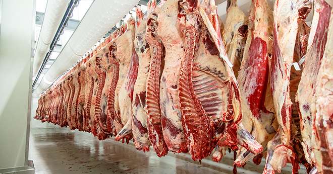 Sur le marché intérieur, la demande s’oriente clairement vers la viande hachée et les pièces nobles sont de plus en plus difficiles à valoriser, constate le cabinet Blézat Consulting. Photo : milanchikov