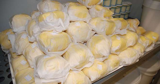Aujourd’hui, en France, 20 % du lait collecté sont consacrés à la fabrication du beurre : 9% pour le beurre destiné à la grande consommation et 11% pour le beurre à destination des industriels. Photo : N.Tiers/Pixel Image