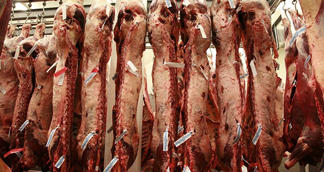 La levée de l'embargo chinois sur la viande bovine française s'appliquera à la viande désossée des bovins âgées de moins de trente mois. Photo : Deborah Benbrook/Fotolia