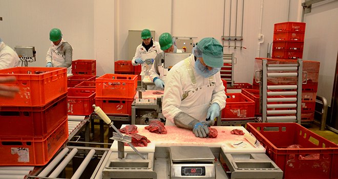 La transformation de la viande représente près de 28 700 emplois en France. Photo : A. Cotens/pixel images