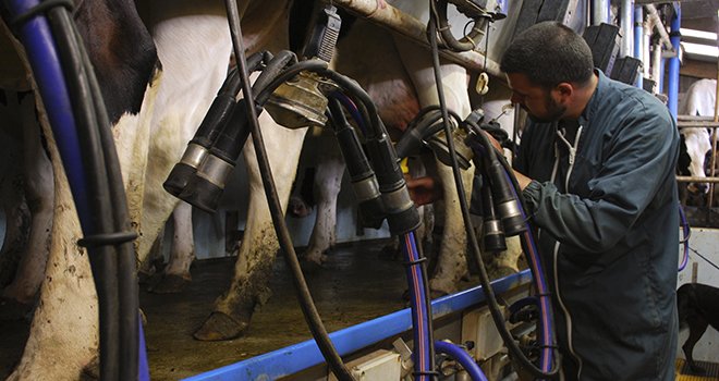 L’objectif du projet Optimir est d’utiliser l’ensemble du spectre MIR du lait pour prédire l’état physiologique d’une vache. Photo : A. Citron/Fotolia
