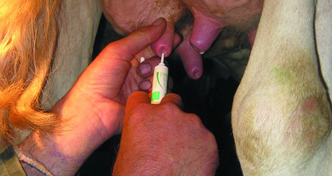 En permettant de se passer d'antibiotiques dans 2 ou 3 quartiers non infectés, Bioteck lait est un levier important de réduction des antibiotiques. Photo : A. Barbier/Vetel.