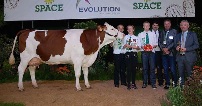 Fistuline (Urbaniste x Micmac) du Gaec de la Randouillère en Mayenne, grande championne du Space 2015. Photos : N.Tiers/Pixel Image