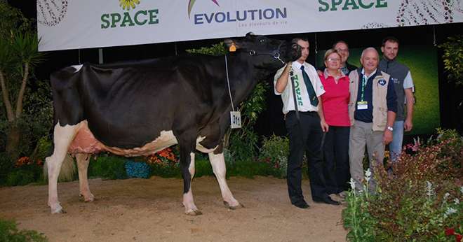 Cendrillon (Jefferson x Nog Multi) copropriété du Gaec des grilles et de Denis Gérard dans l'Orne, grande championne prim'holstein du Space 2015. Photos : N.Tiers/Pixel Image