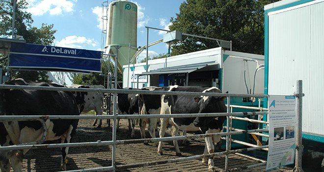 La conduite mise en place avec deux paddocks par 24h a permis aux vaches de circuler librement entre le robot de traite mobile et les pâtures. Photo : D. Bodiou/ Pixel Image