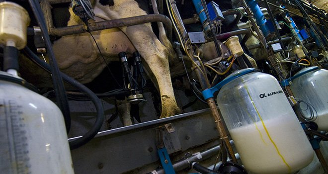 Les éleveurs augmentent leur production laitière grâce à une conjoncture toujours favorable en termes de prix du lait  Photo : C.Helsy/CNIEL