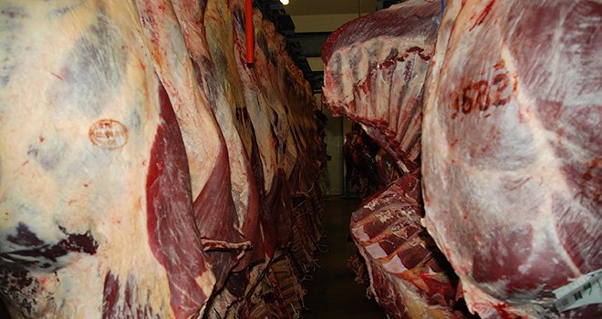 Embargo russe sur les exportations agricoles, afflux exceptionnel des femelles de réforme: le marché de la viande bovine se trouve dans une situation critique selon le Copa-Cogeca, qui exhorte la Commission européenne à agir sans délai.