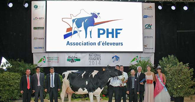 Twin Uzelli, appartenant au Gaec Leclerc et à Bruno Toussaint, a remporté le titre de grande championne du concours national prim'holstein 2014. Elle pose sous le tout nouveau logo de Prim'Holstein France, dévoilé quelques minutes avant sa désignation. Photo: JLC
