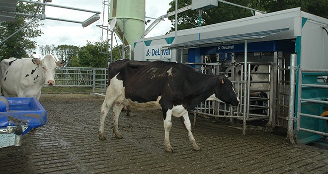 La plate-forme expérimentale comprend un robot Delaval classique et un tank à lait montés sur remorques, une aire d’attente stabilisée et un silo d’aliment. Photo: D. Bodiou/Pixel image.