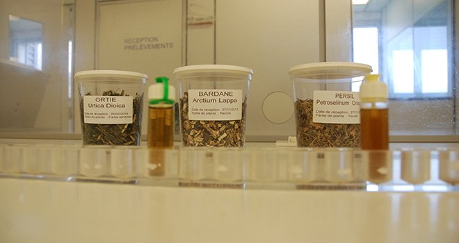 Pour confectionner ses produits, le laboratoire Biodevas extrait les actifs depuis des plantes séchées. Photo : N. Tiers/Pixel Image