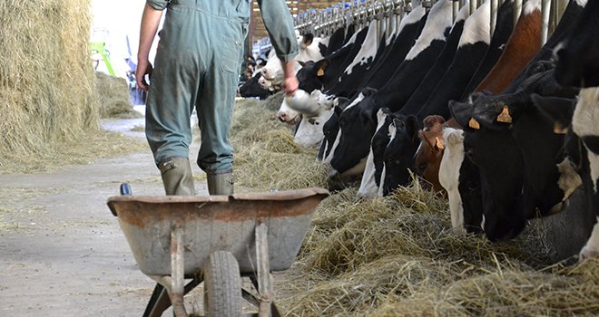 Les conditions pluvieuses de l'année 2013 ajoutent des difficultés alimentaires aux problèmes économiques déjà rencontrés par les élevages aubois. Photo: M.Ballan/Pixel image