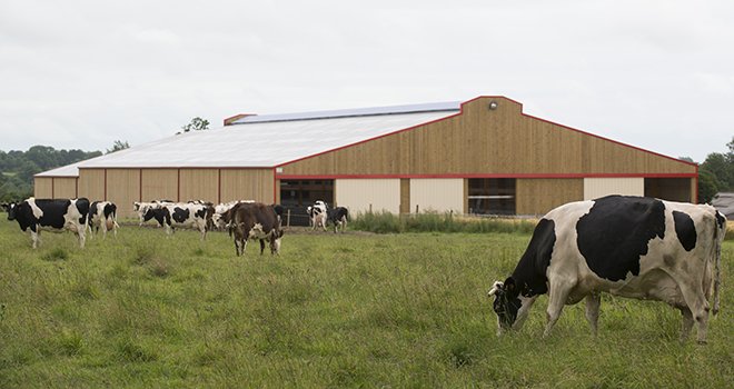 Malgré la fin du système des quotas laitiers en 2015, la croissance de la production de lait de l’Union Européenne devrait rester limitée en raison des contraintes environnementales. Photo: C. Helsly/Cniel