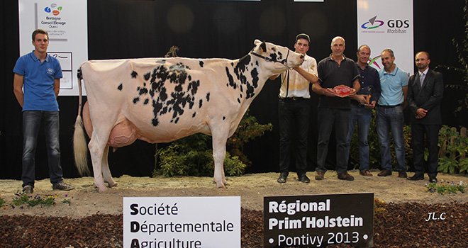 Amarante avait reçu le titre de meilleure laitière au concours de Pontivy en octobre. Crédit photo : JLC