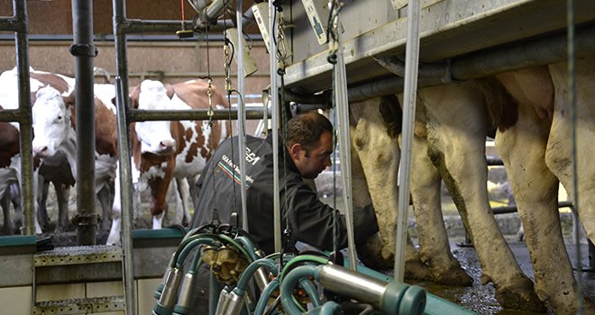 Arrêter la production laitière c'est s'exposer à une baisse de l'EBE de l'ordre de 30 à 50%. Photo: M. Ballan/Pixel Image