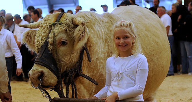 « Ohhh la vache » accueille cette année plusieurs concours d’envergure, moments forts destinés à récompenser l’excellence en élevage. Photo:DR