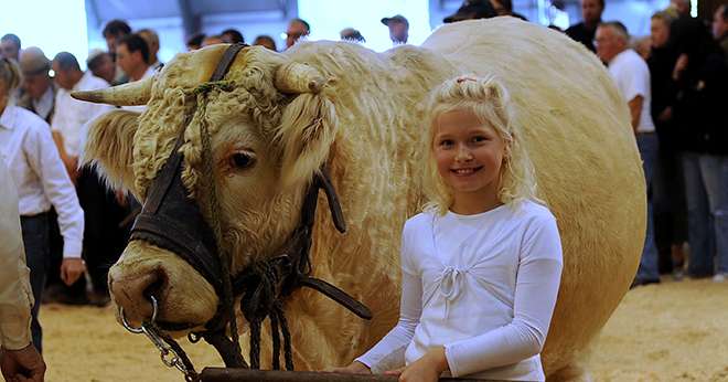 « Ohhh la vache » accueille cette année plusieurs concours d’envergure, moments forts destinés à récompenser l’excellence en élevage. Photo:DR