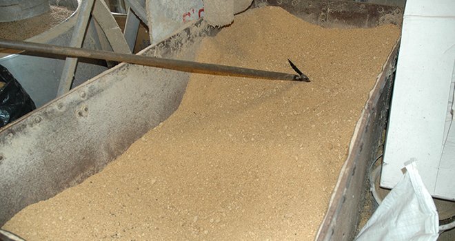 La réduction des importations de soja pour l'alimentation animale est un objectif soutenu par les industriels du secteur. Crédit photo : Pixel image.