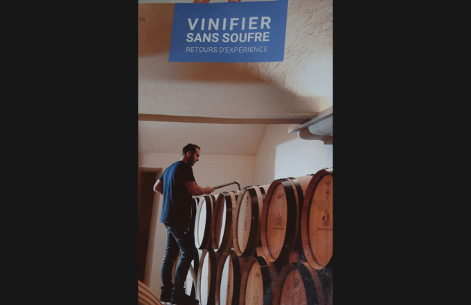 Un groupe de travail réunissant  une quinzaine de professionnels  a été constitué en Bourgogne pour travailler sur la thématique des vinifications sans SO2. Photo : BIVB