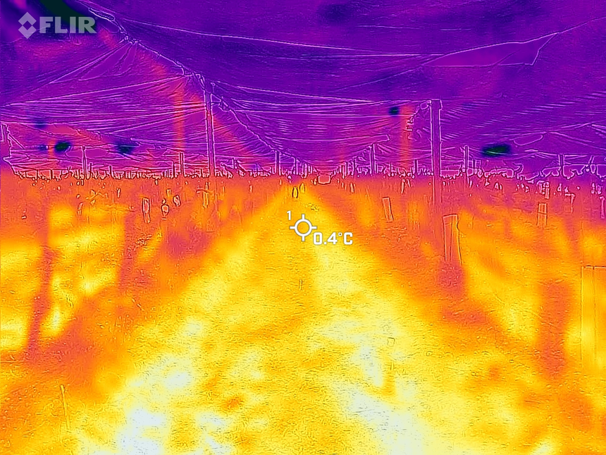 Cliché de caméra thermique avec - 5°C à l’ extérieur du voile (bleu/violet) et + 0,4°C au sol, le 4 avril 2022 à Saint-Lambert-du-Lattay.