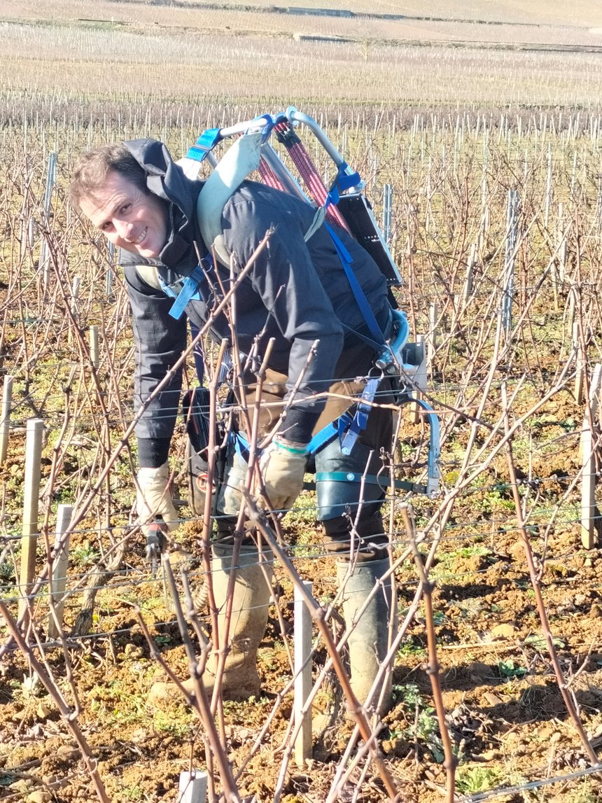 Freddy Meuneveaux, vigneron en Bourgogne,  utilise un&nbsp;Repozdos depuis quatre ans.