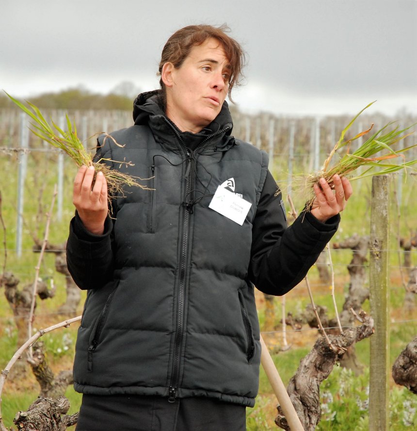 Perrine Dubois, de l'ATV49, recommande de se fournir en semences auprès des éleveurs cultivant des méteils. Photos : O.Lévêque/Pixel6TM