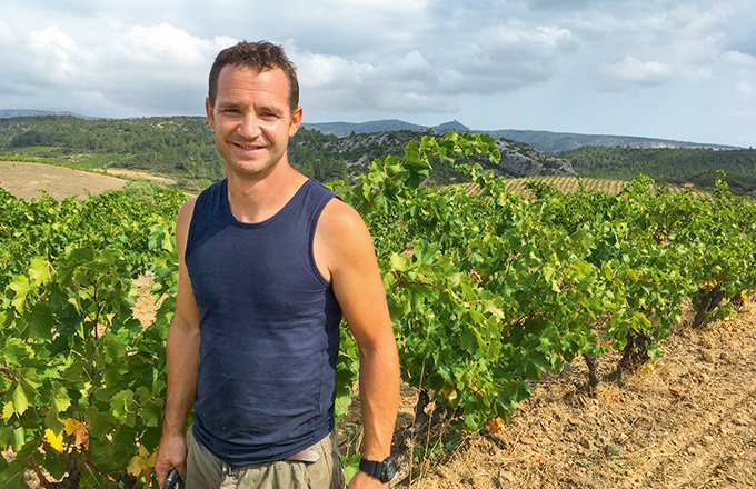 Depuis 2010, Mickaël Sire met en place des engrais verts, notamment pour limiter l’érosion du sol dans ses vignes en pente.