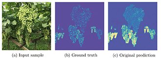 Ces images montrent les grappes prises en photo (a), la réalité de terrain (b) et sa perception par le modèle (c). DR